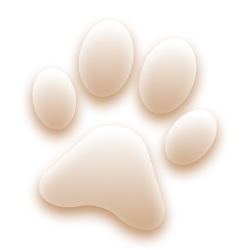 ICONE/icon pet
